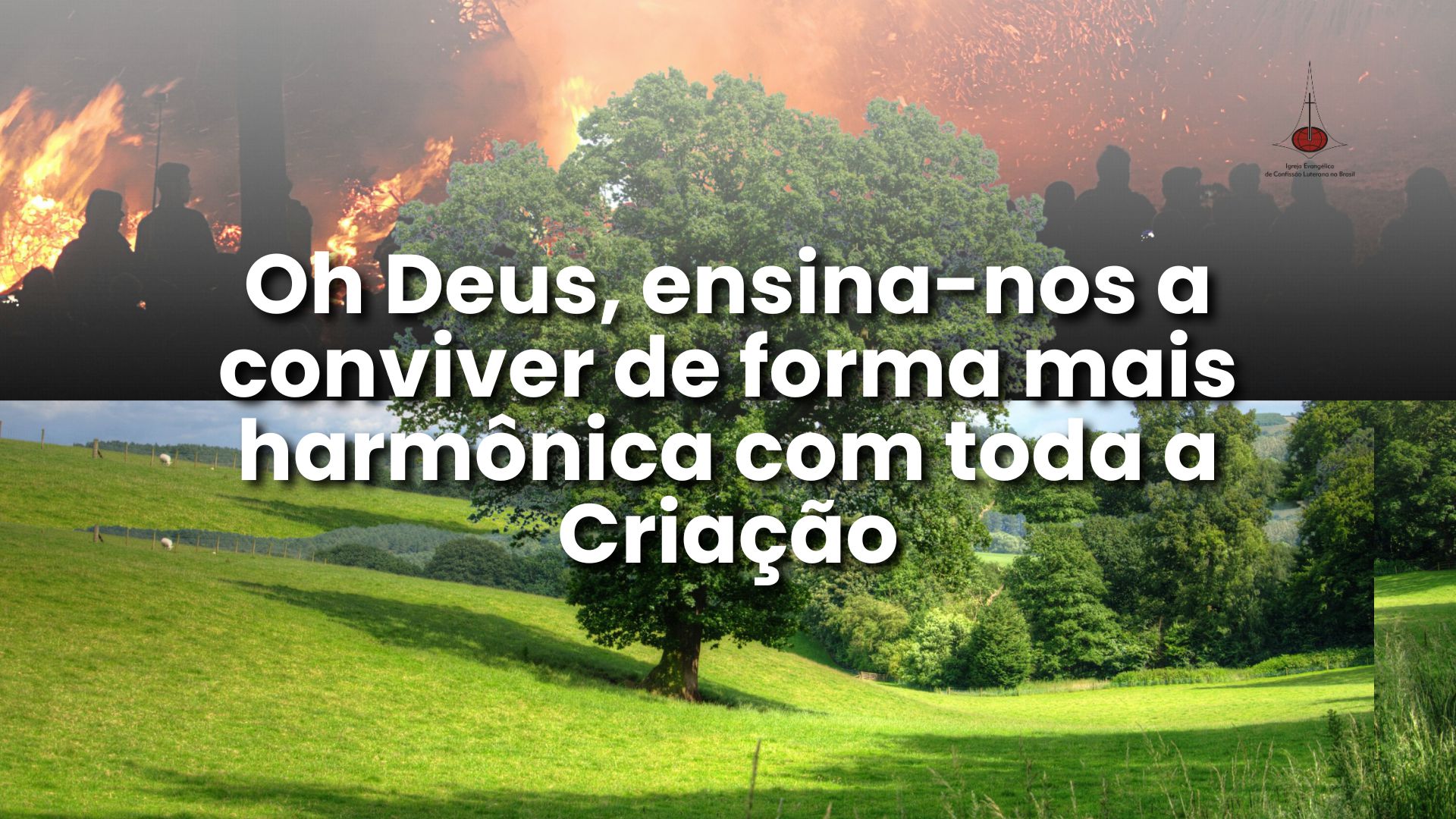 harmonia na criação de Deus